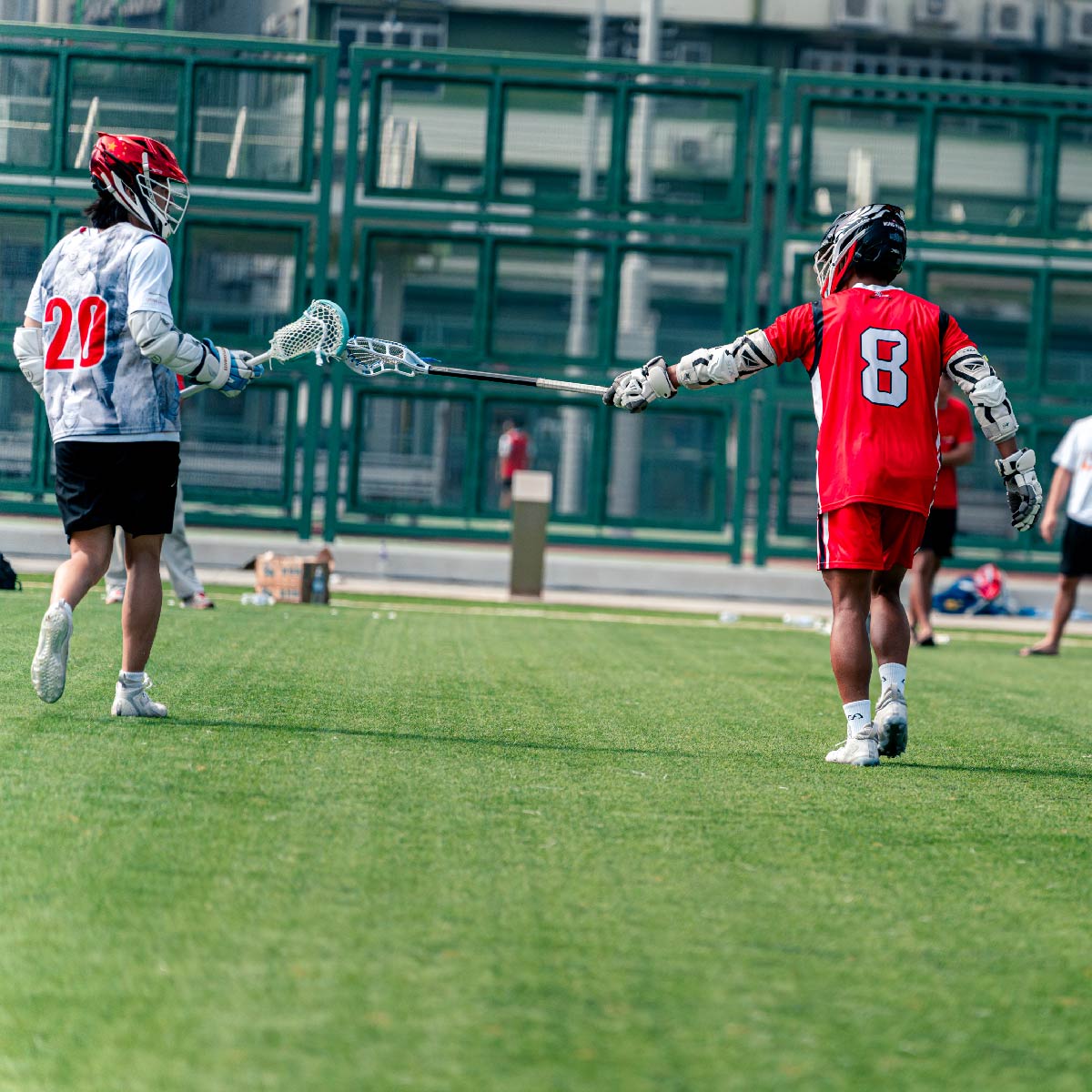 Image of The Ultimate Guide to Lacrosse Sticks and Balls