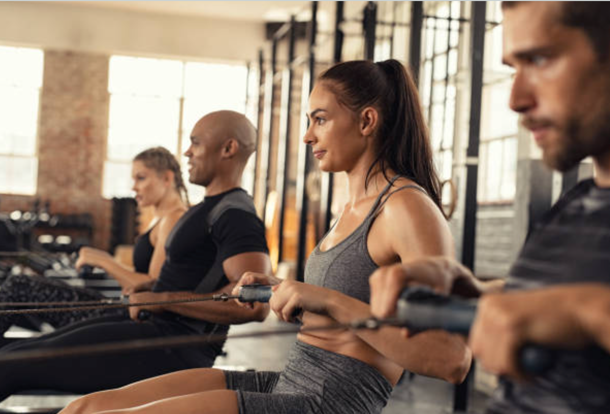 Image of Rudern im Gym: Der ultimative Ganzkörper-Workout für maximale Fitness und Kraft