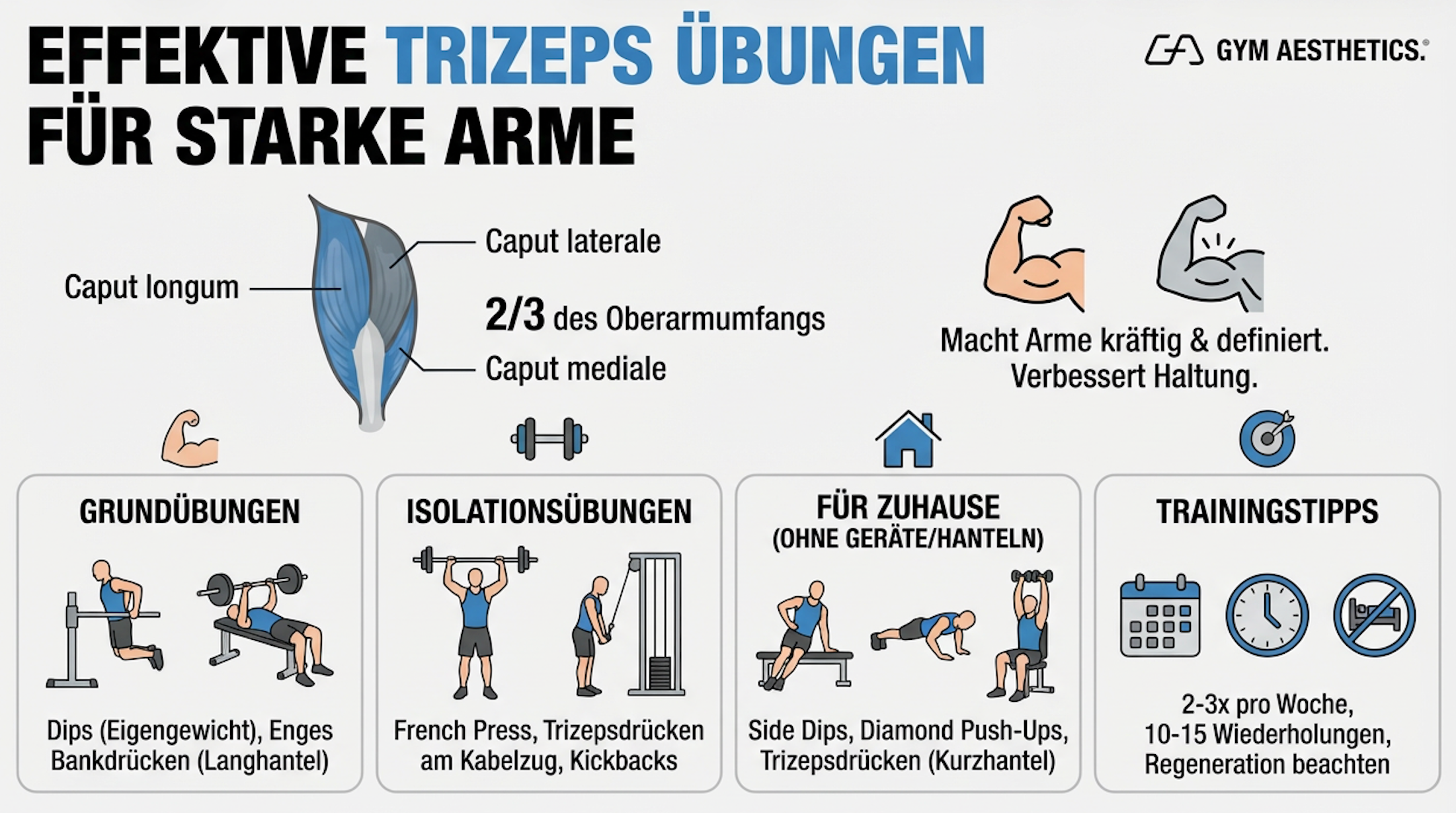 Image of Effektive Trizeps Übungen für starke Arme