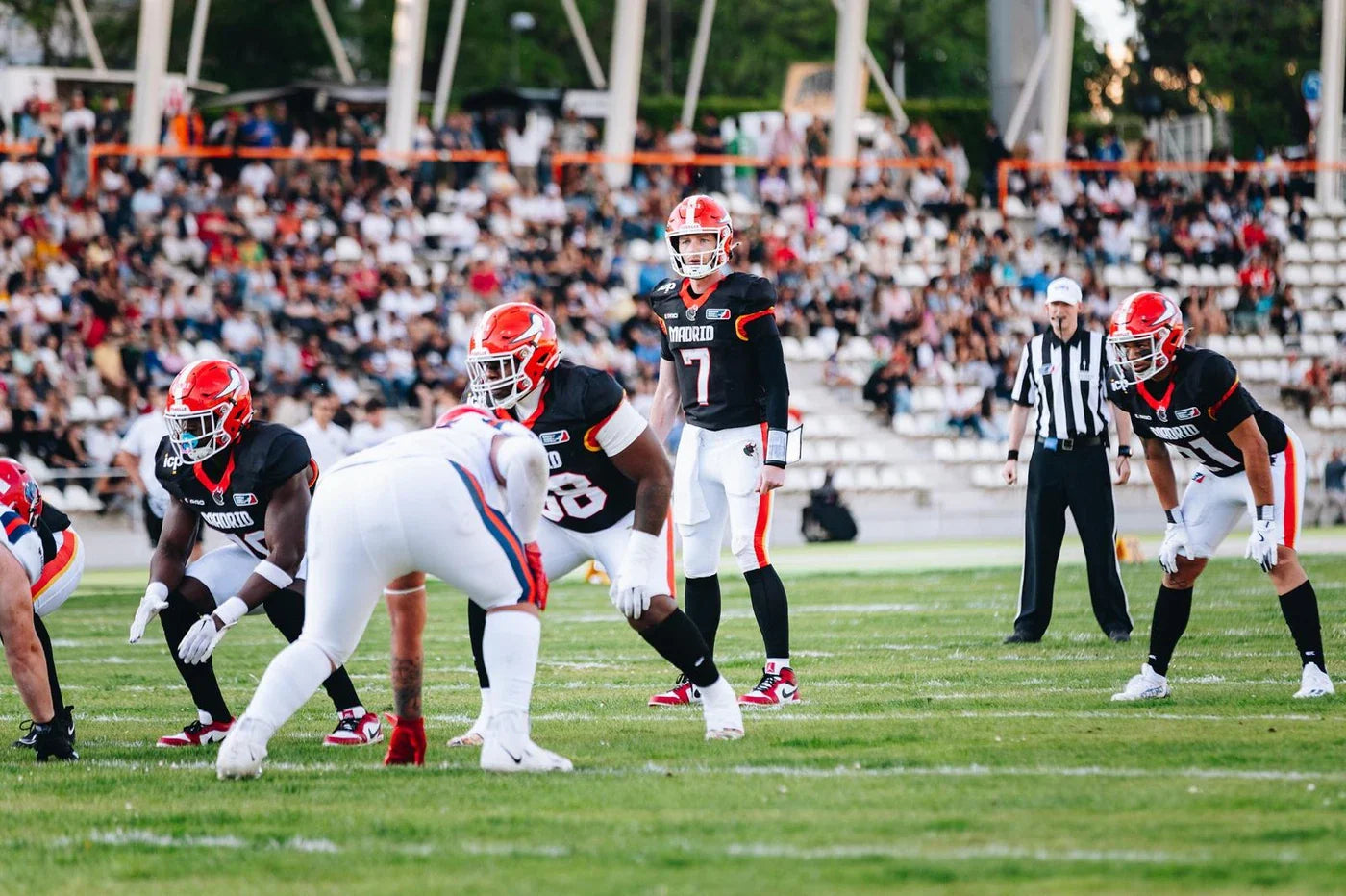 ELF Fantasy Manager: Start’em, Sit’em, Week 2 - Alex Malchow | Gym ...