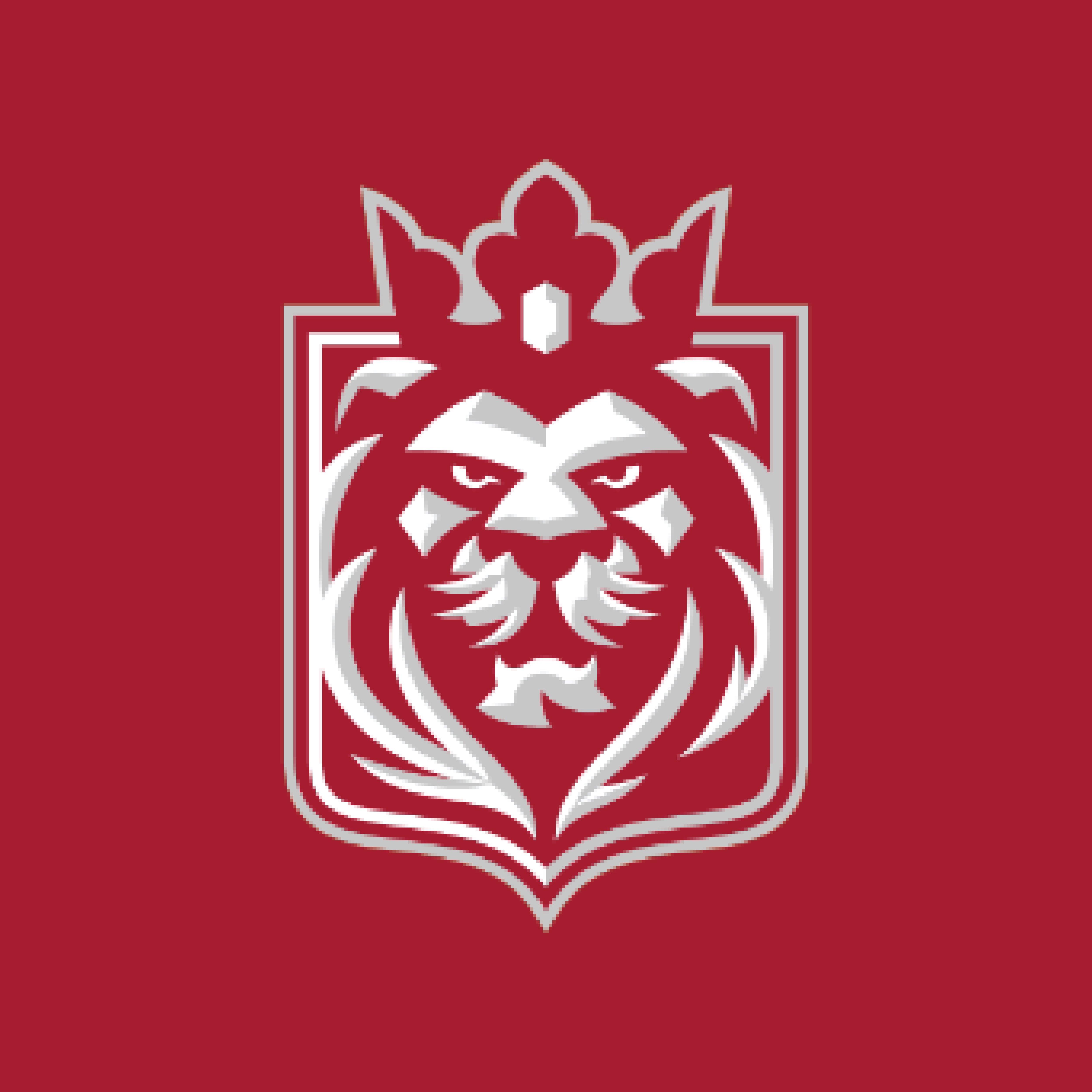 Image of The Noble Beasts of Prague: Exploring the Prague Lions' Journey in the European League of Football