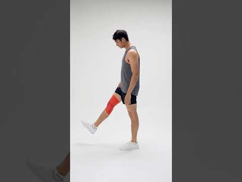 Image of GA Fit Gear PRO - SensELAST® Compression workout knee supporting gear ( 1 Piece )