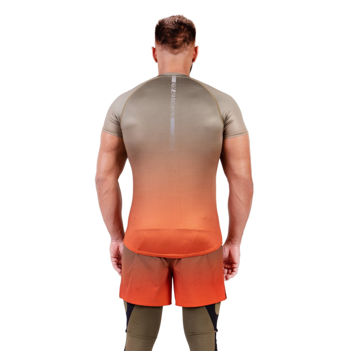 Image of Essential gradient crew neck Sport Shirt for Men